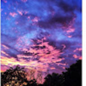 Meet your Posher, Robin